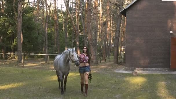 Wanita dan Kuda. Gaya Seksi Kasual — Stok Video