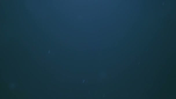 Particules de poussière flottantes 06 