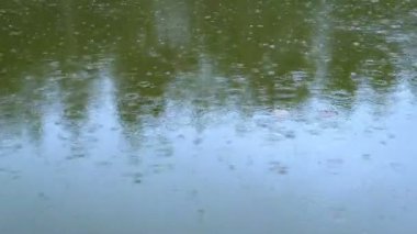 Sokakta erken öğleden sonra şiddetli yağmur