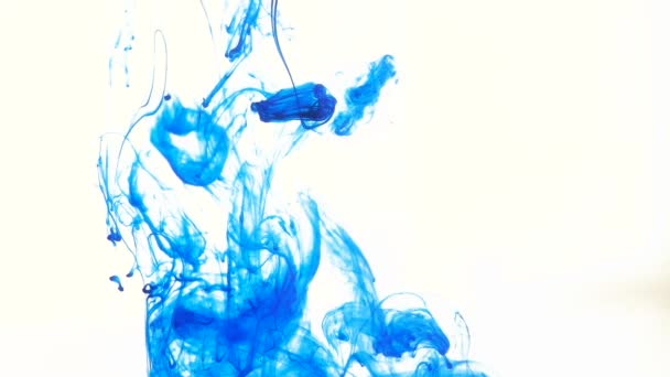 Tinta azul en el agua derecha sobre blanco — Vídeo de stock