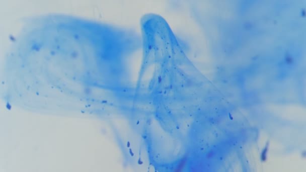 Blue Ink Drops in Water — Stock Video