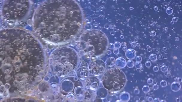 Olie babbles op water, abstractie video. Macro — Stockvideo