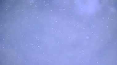 Düşen kar kar yağışı. Loopable hareketli arka plan.