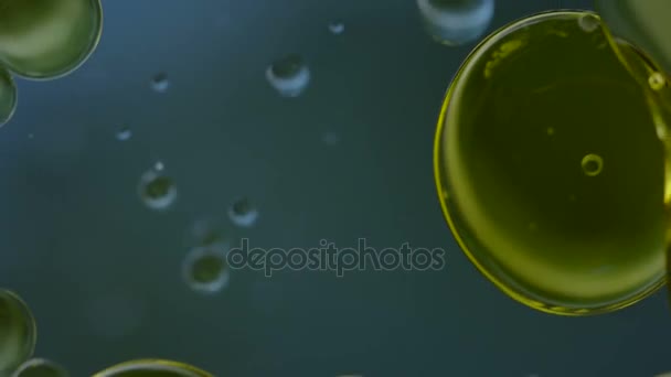 Batte olio sull'acqua, video di estrazione. Macro — Video Stock