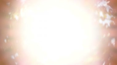 Güzel güneş ağacı yeşil yaprakları ile