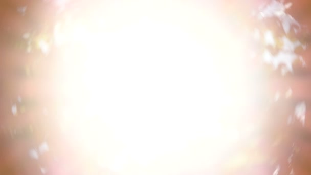 Belle brillance du soleil à travers les feuilles vert arbre 