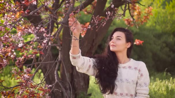 Femme et pétales tombants de sakura sur la nature — Video