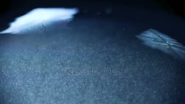 boule de neige de Noël gel flocon de neige 