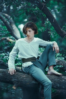 Ağaçtaki elflerin prensi