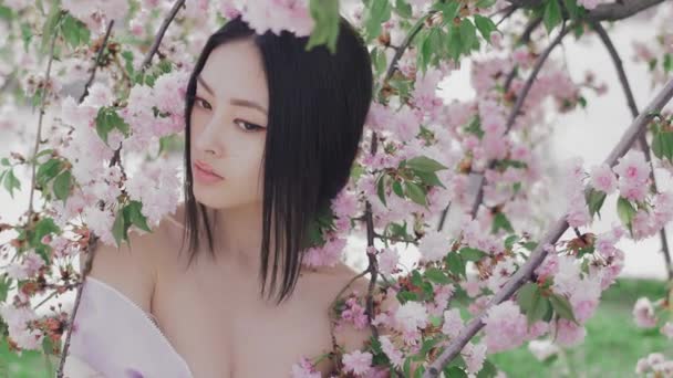 Портрет красивой азиатской девушки на открытом воздухе против весеннего цветущего дерева. За кулисами — стоковое видео