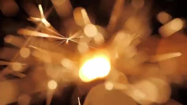 Sparkler Burning Against Black Background — Stock Video