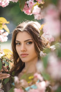 Sakura Ağacı Doğa Üzerine Çiçek açan Kadın