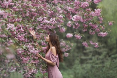 Sakura Ağacı Doğa Üzerine Çiçek açan Kadın