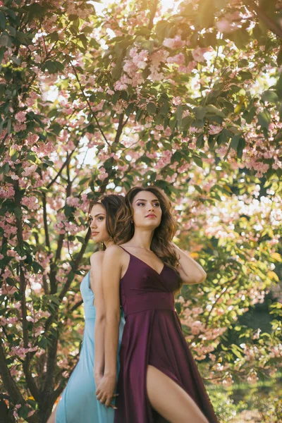 자연계에서 꽃피는 나무 가까이에 있는 두 여자의 모습 — 스톡 사진