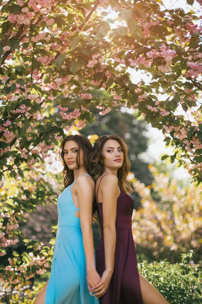 Fashion Portrait Photo of Two Women Near Blossoming Tree on Nature — стокове фото