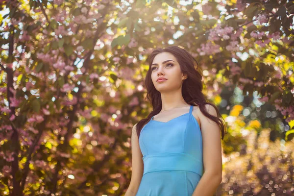 Kvinna vid blommande Sakura träd på naturen — Stockfoto