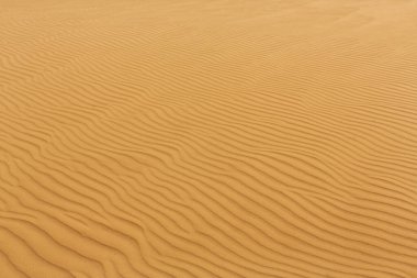 Kum Dokusunun Dalgaları, Çöl Kumulları.