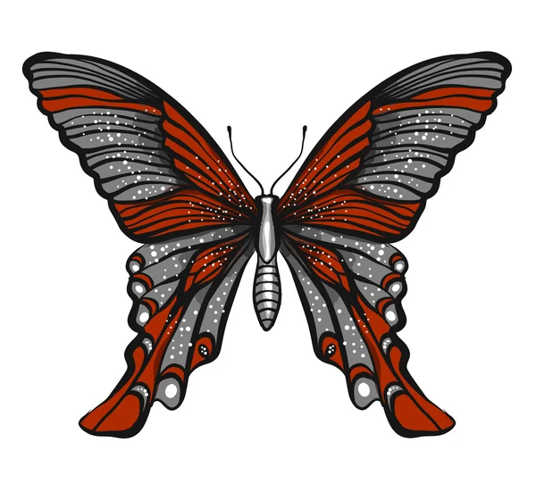 Ilustração borboleta isolado no branco — Vetor de Stock