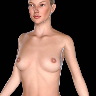 bir modeli çıplak gövde 3D çizimi