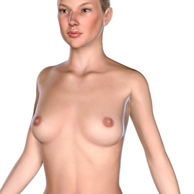 bir modeli çıplak gövde 3D çizimi