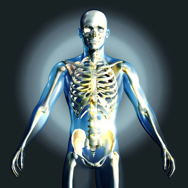 3D göra en medicinsk bild av en manlig figur — Stockfoto