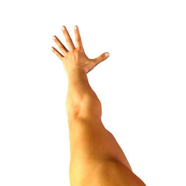 3D hand med stop gest isolerad på vit — Stockfoto