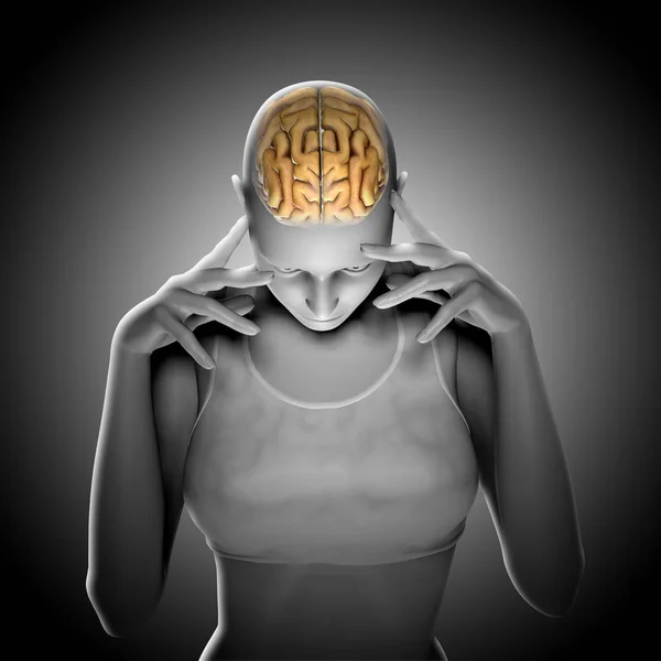 Representación 3D de una figura femenina pensando con el cerebro resaltado —  Fotos de Stock