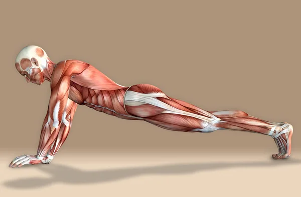 Bir tıbbi erkek figürü egzersiz 3d çizim — Stok fotoğraf
