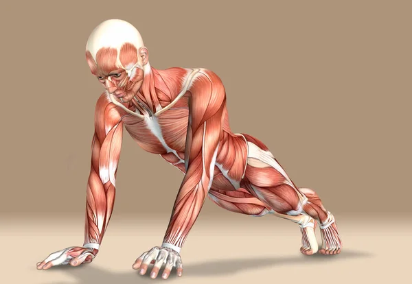 3d illustration of a medical male figure exercising — Stock Photo, Image