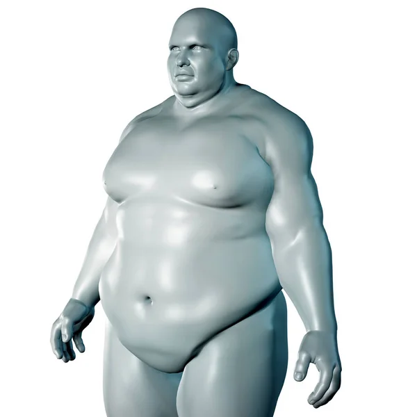 Ilustración 3d de la anatomía humana con sobrepeso . — Foto de Stock