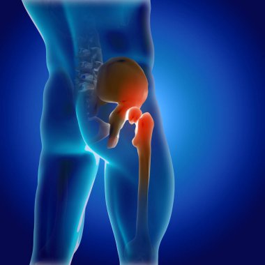 Kalça eklem yüksekliğinin yakın plan mavi tıbbi görüntüsünün 3D görüntüsü