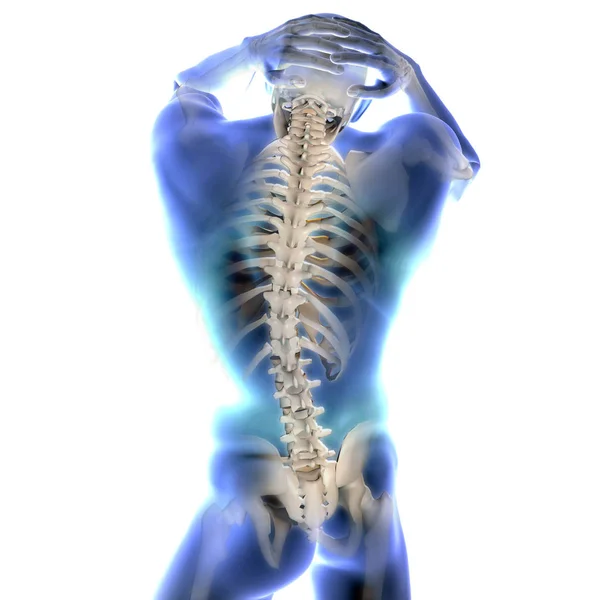 3D render of a blue male medical figure with joints highlighted — Stock Photo, Image