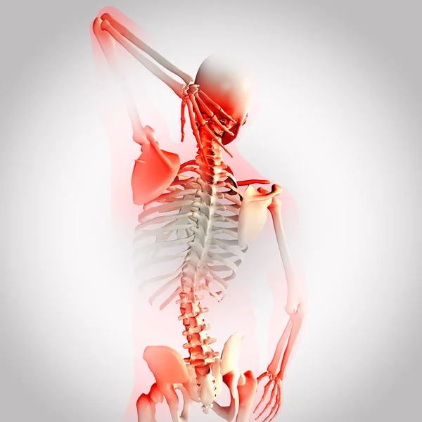 Rendering 3D di una figura medica maschile con articolazioni evidenziate — Foto Stock