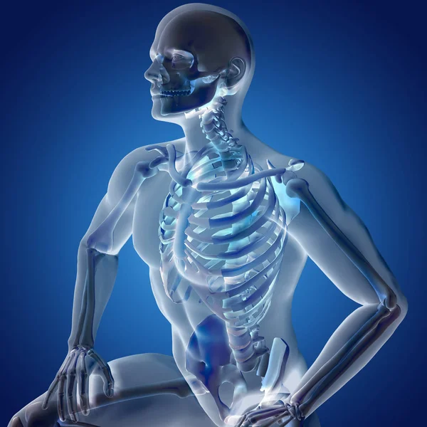 Rendering 3D di una figura medica maschile con sistema scheletrico highligh — Foto Stock