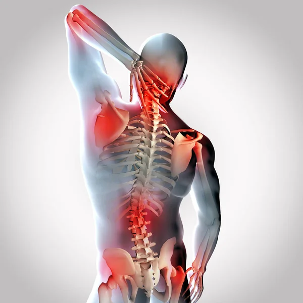 3D render of a male medical figure with joints highlighted — Stock Photo, Image