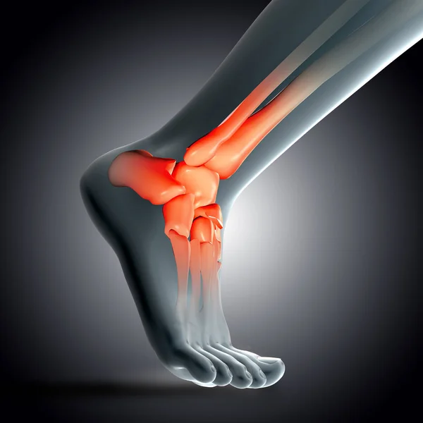 3D візуалізація медичного зображення крупним планом кістки щиколотки в ногах h — стокове фото