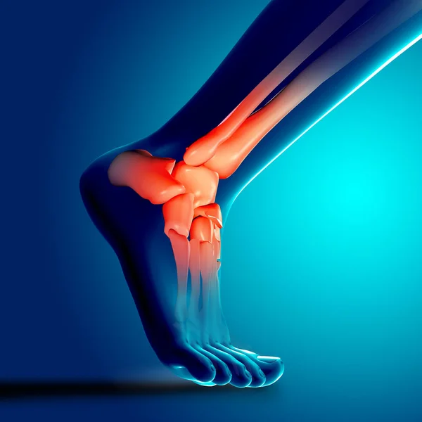 3D renderização de uma imagem médica de perto do osso do tornozelo no pé h — Fotografia de Stock