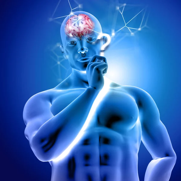 3d weergave van een menselijke figuur denken met hersenen gemarkeerd — Stockfoto