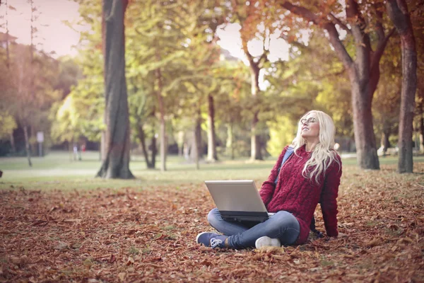 Kadın onu laptop ile — Stok fotoğraf