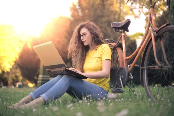 Arbeiten im Park — Stockfoto