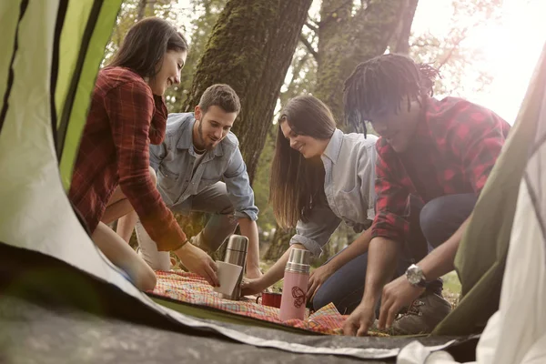 Vrienden hebben een picknick — Stockfoto