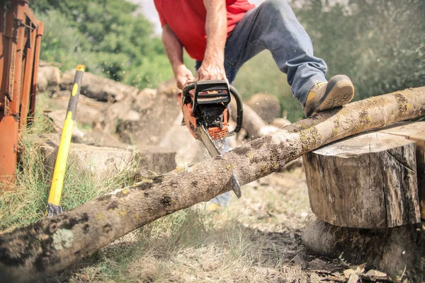Holzfäller Sägt Mit Kettensäge Einen Stamm Der Landschaft — Stockfoto