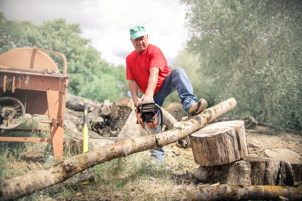 Lenhador Cortando Tronco Campo Com Uma Motosserra — Fotografia de Stock