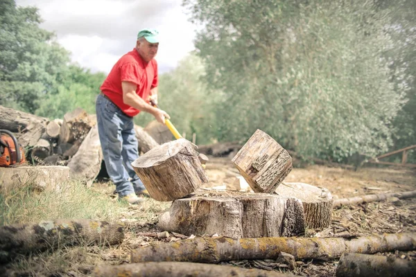 Leñador Cortando Tronco Campo —  Fotos de Stock