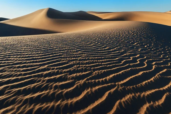 Sahara woestijn zandduinen. — Stockfoto