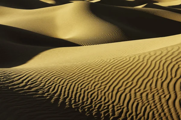 Sahara desert sand dunes. — Stock Photo, Image