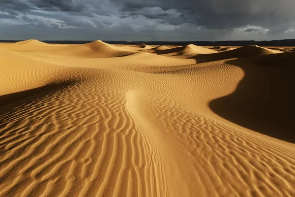 Sahara desert sand dunes with cloudy, rainy sky. — Stock Photo, Image
