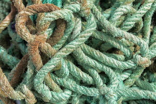 Pis, yaşlı, yeşil ip closeup soyut.