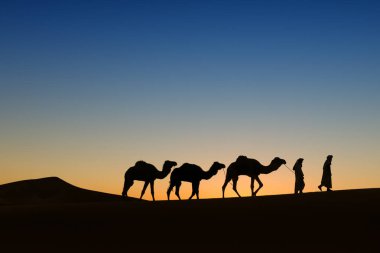 İle göçebeler gündoğumu, Çölde deve (dromedary) karavan. 