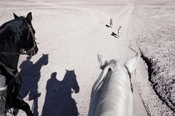 Horse riders (shadows) with dogs on stony desert plateau with di Stock Photo